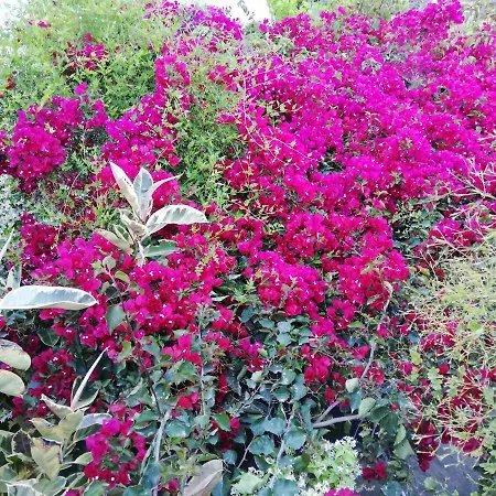 Au Pied De La Falaise Rouge