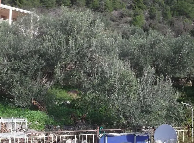 Au Pied De La Falaise Rouge Leonídion