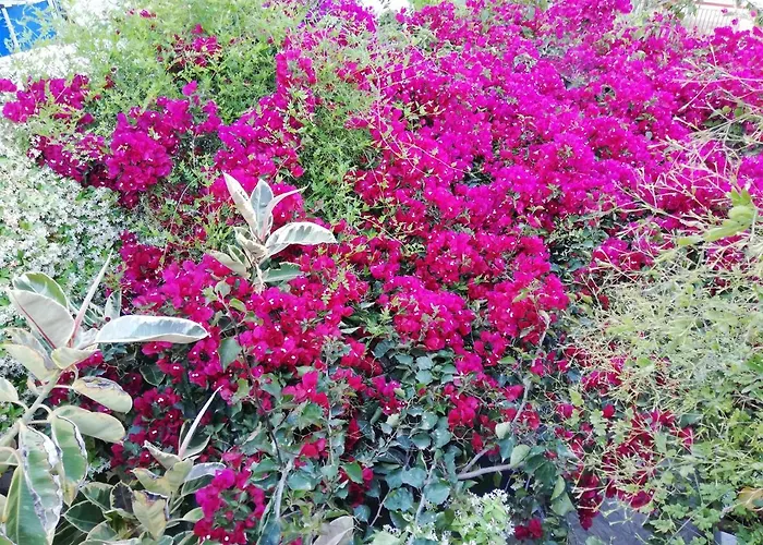 Au Pied De La Falaise Rouge